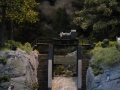 DSCN2895