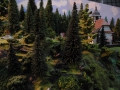 DSCN2921